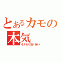 とあるカモの本気（そんなに強く無い）