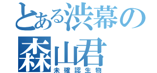 とある渋幕の森山君（未確認生物）