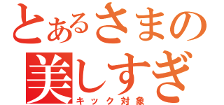 とあるさまの美しすぎる（キック対象）