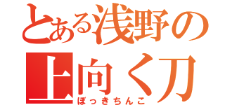 とある浅野の上向く刀（ぼっきちんこ）