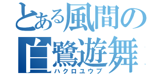 とある風間の白鷺遊舞（ハクロユウブ）