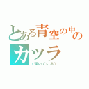 とある青空の中のカツラ（（浮いている））