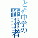 とある中学の性犯罪者（セクハラ）