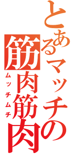 とあるマッチョの筋肉筋肉（ムッチムチ）