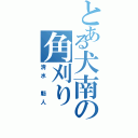 とある犬南の角刈り（清水 魁人）