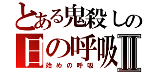 とある鬼殺しの日の呼吸Ⅱ（始めの呼吸）