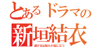 とあるドラマの新垣結衣（逃げるは恥だが役に立つ）