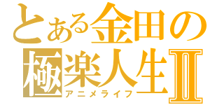 とある金田の極楽人生Ⅱ（アニメライフ）