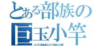 とある部族の巨玉小竿（カリが未発達なので液量が必要）