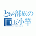 とある部族の巨玉小竿（カリが未発達なので液量が必要）