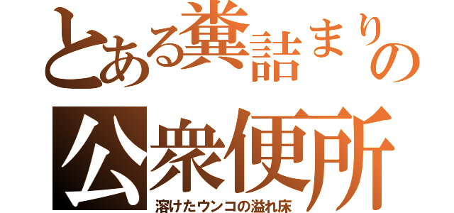 とある糞詰まりの公衆便所（溶けたウンコの溢れ床）