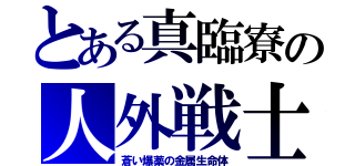 とある真臨寮の人外戦士（蒼い爆薬の金属生命体）