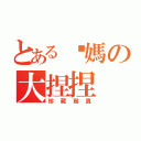 とある你媽の大捏捏（珍藏寫真）