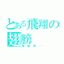 とある飛翔の翅膀（飛起來吧）