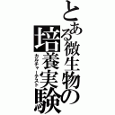 とある微生物の培養実験（カルチャーテスト）