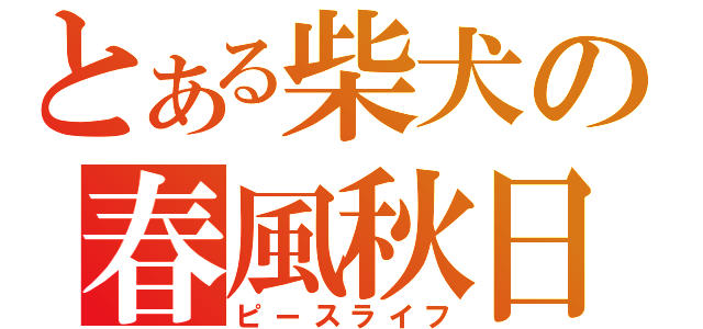 とある柴犬の春風秋日（ピースライフ）