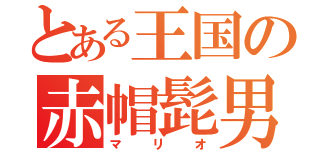 とある王国の赤帽髭男（マリオ）