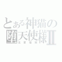 とある神猫の堕天使様Ⅱ（五更瑠璃）