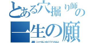 とある穴掘り師の一生の願い（運営、シャベルじゃなくてドリルはよ）