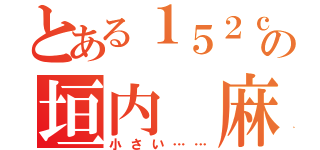 とある１５２ｃｍの垣内 麻里（小さい……）