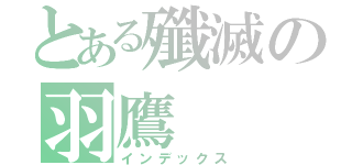 とある殲滅の羽鷹（インデックス）