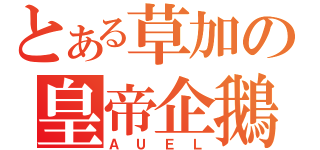 とある草加の皇帝企鵝（ＡＵＥＬ）