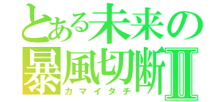 とある未来の暴風切断Ⅱ（カマイタチ）