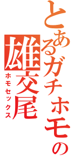 とあるガチホモの雄交尾（ホモセックス）