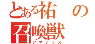 とある祐の召喚獣（アマテラス）