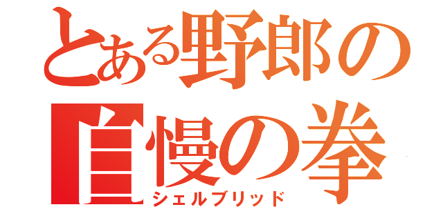 とある野郎の自慢の拳（シェルブリッド）