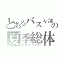 とあるバスケ部の夏季総体（かきそうたい）