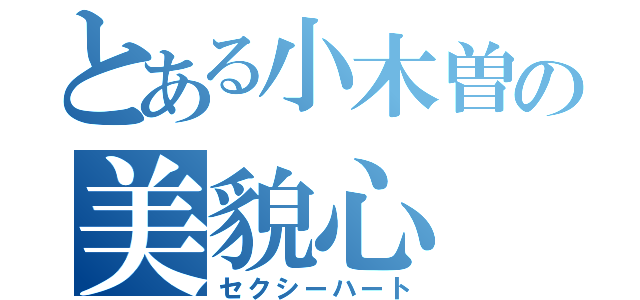 とある小木曽の美貌心（セクシーハート）