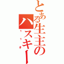 とある生主のハスキー（ぅぅき）