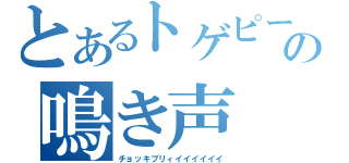 とあるトゲピーの鳴き声（チョッキブリィイイイイイイ）