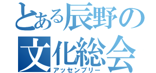 とある辰野の文化総会（アッセンブリー）