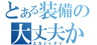 とある装備の大丈夫か（エルシャダイ）