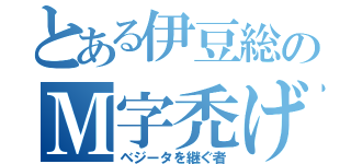 とある伊豆総のＭ字禿げ（ベジータを継ぐ者）