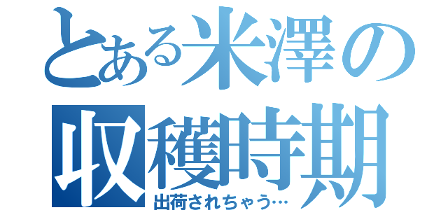 とある米澤の収穫時期（出荷されちゃう…）