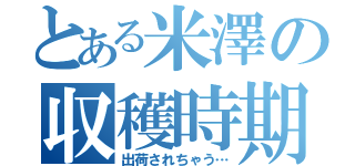 とある米澤の収穫時期（出荷されちゃう…）