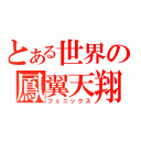 とある世界の鳳翼天翔（フェニックス）