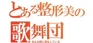 とある整形美の歌舞団（みんな同じ目をしている）