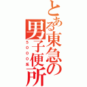 とある東急の男子便所（５０００系）