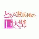 とある憲兵団の巨大壁（ウォールシーナ）