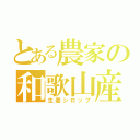 とある農家の和歌山産（生姜シロップ）