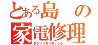 とある島の家電修理（テクノパラメディック）