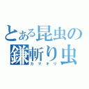 とある昆虫の鎌斬り虫（カマキリ）