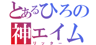 とあるひろの神エイム（リッター）