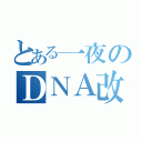 とある一夜のＤＮＡ改変（）