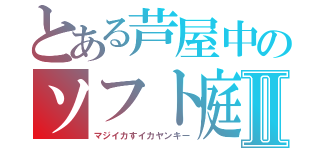 とある芦屋中のソフト庭球部Ⅱ（マジイカすイカヤンキー）