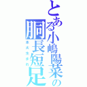 とある小嶋陽菜の胴長短足（本太生まれ）